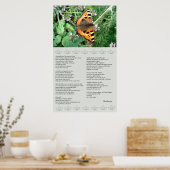 Butterfly Motivierend Desiderata Poster (Küche)