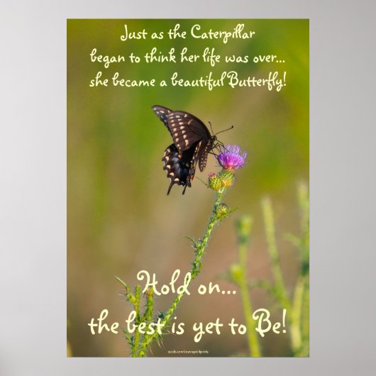 Butterfly Motivierend Inspiration Foto Poster (Vorne)