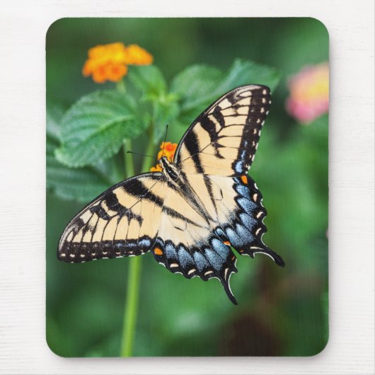 Butterfly Mouse Pad Mousepad (Vorne)