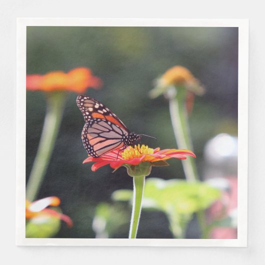 Butterfly Napkins Serviette (Vorderseite)