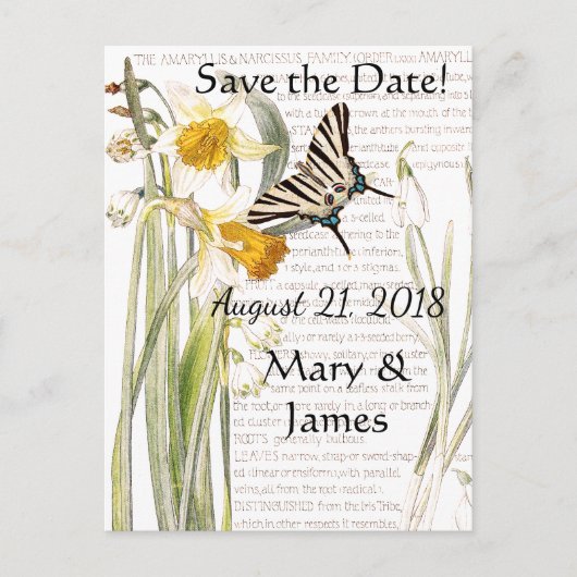 Butterfly Narissus Blume Save the Date Postkarte (Vorderseite)