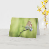 Butterfly Nature Foto Karte (Gelbe Blume)