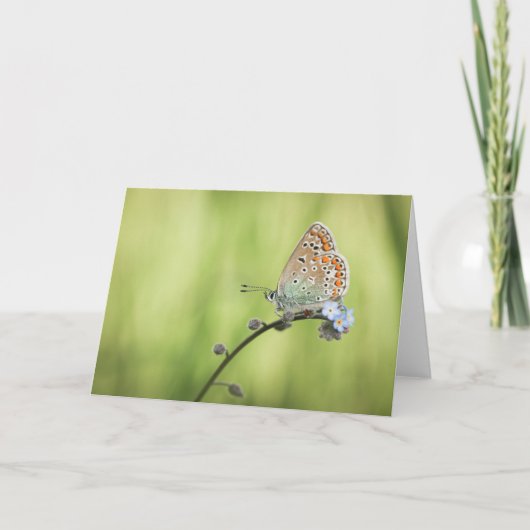 Butterfly Nature Foto Karte (Vorderseite)