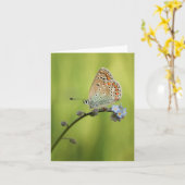 Butterfly Nature Foto Karte (Gelbe Blume)