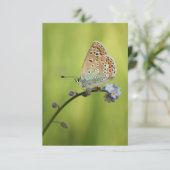 Butterfly Nature Foto Karte (Stehend Vorderseite)