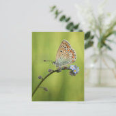 Butterfly Nature Foto Postkarte (Stehend Vorderseite)
