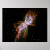 Butterfly-Nebel Poster (Vorne)