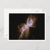 Butterfly Nebel Weiße Grenze Postkarte (Vorne/Hinten)