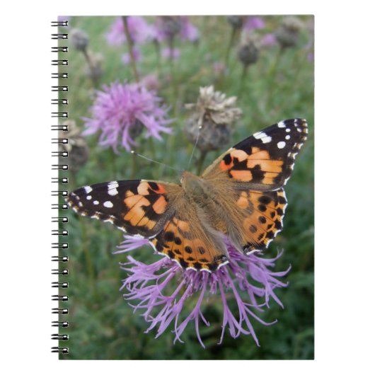 Butterfly-Notebook Notizblock (Vorderseite)