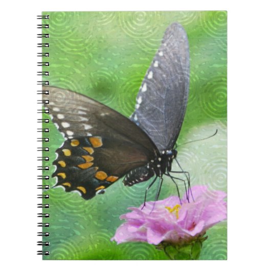 Butterfly-Notebook Notizblock (Vorderseite)