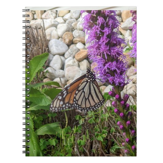 Butterfly-Notebook Notizblock (Vorderseite)