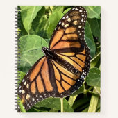 Butterfly Notebook Notizblock (Vorderseite)