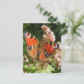 Butterfly-Ölgemälde Postkarte (Stehend Vorderseite)