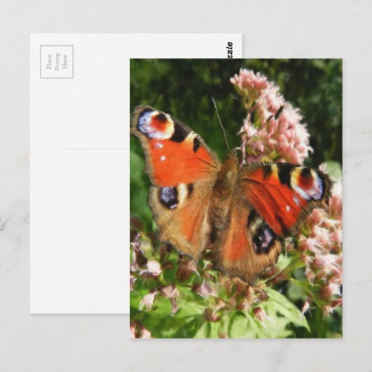 Butterfly-Ölgemälde Postkarte (Vorne/Hinten)