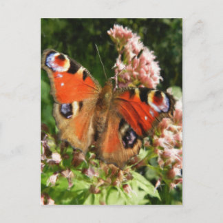 Butterfly-Ölgemälde Postkarte