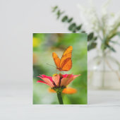 Butterfly on a Flower Postkarte (Stehend Vorderseite)