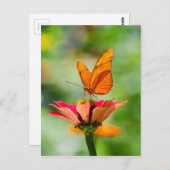 Butterfly on a Flower Postkarte (Vorne/Hinten)