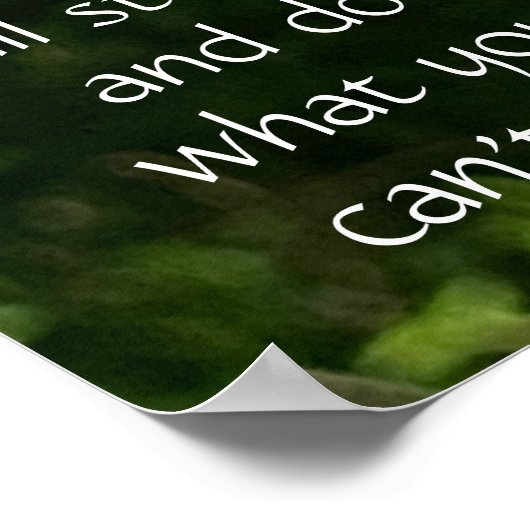 Butterfly on Basketblume, Scripting Verse Poster (Ecke)