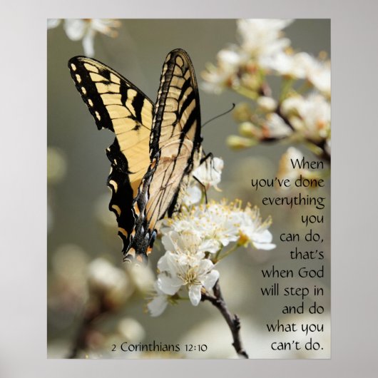 Butterfly on Blossoms, Scripting Verse Poster (Vorne)