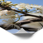 Butterfly on Floral w/ Vers über Hoffnung und Glau Poster (Ecke)