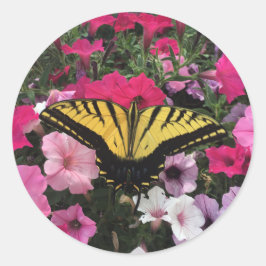 Butterfly on Pink Petunia Flowers Springtime Runder Aufkleber