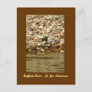 Butterfly on the Buffalo Postkarte