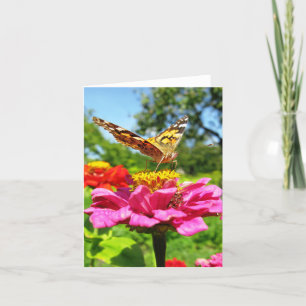 Butterfly on the Zinnia Blossom Note Card Karte