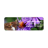 Butterfly On Wild Lila Aster Blume (Vorne)