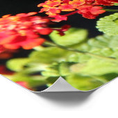 Butterfly on Wildblumen, Scripture Vers on Faith Poster (Ecke)