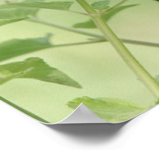 Butterfly on Wildblumen, Scripture Vers on Faith Poster (Ecke)