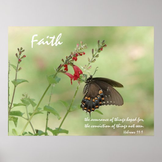 Butterfly on Wildblumen, Scripture Vers on Faith Poster (Vorne)