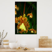 Butterfly Orchid Art Poster - 24x36 - andere Größe (Küche)