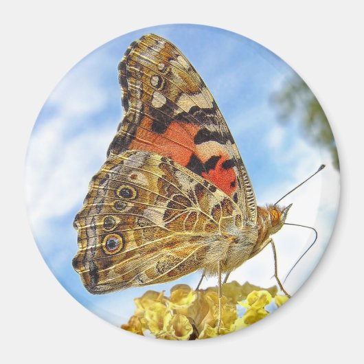 Butterfly Painted Lady Magnet (Vorne)