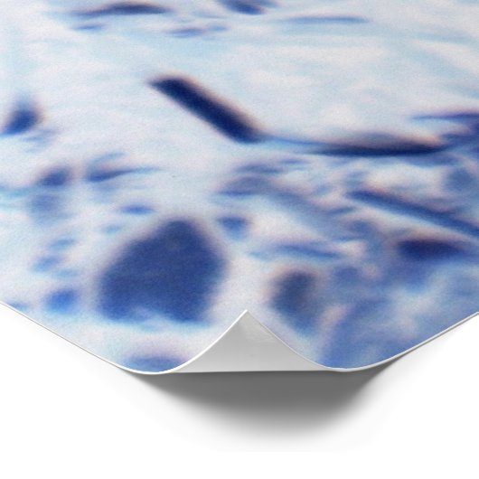 Butterfly Pansy Poster (Ecke)