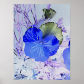 Butterfly Pansy Poster (Vorne)