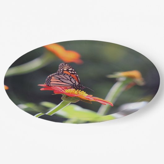 Butterfly Paper Teller (Schrägansicht)