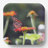 Butterfly Paper Teller (Vorderseite)