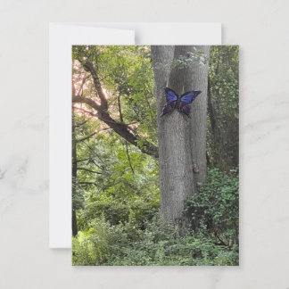 Butterfly Park Postkarte