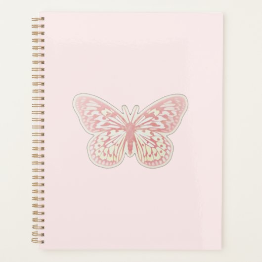 Butterfly-Plane Planer (Vorderseite)