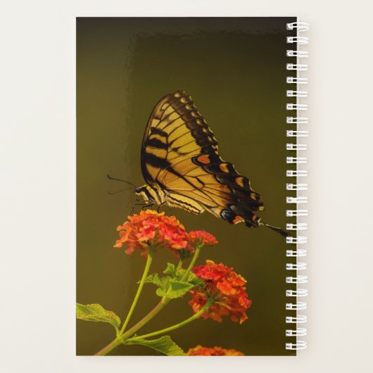 Butterfly-Planer 2026 Planer (Rückseite)