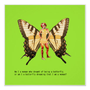 Butterfly Poster