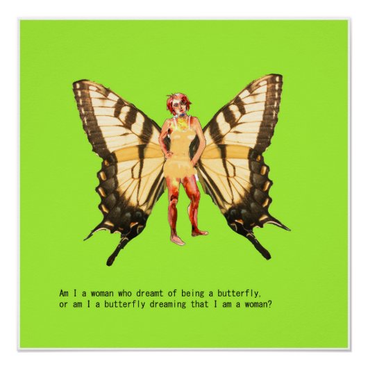 Butterfly Poster (Vorderseite)