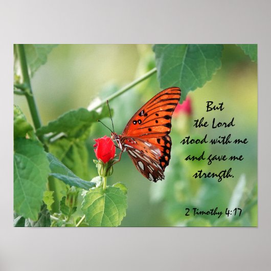 Butterfly Poster mit Verse über Gottes Stärke (Vorne)