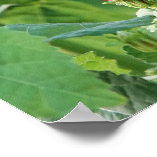 Butterfly Poster mit Verse über Gottes Stärke (Ecke)