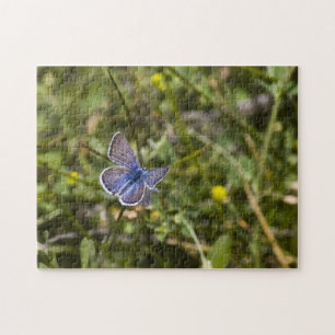 Butterfly-Puzzle 3 Puzzle