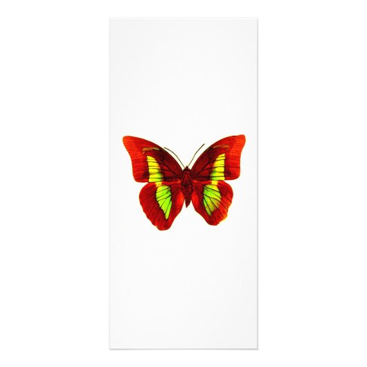 Butterfly-Rack-Karte Werbekarte (Vorne)
