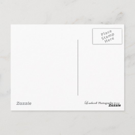 Butterfly Rainforest - Gainesville, FL 002 Postkarte (Rückseite)