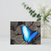 Butterfly Rainforest - Gainesville, FL 003 Postkarte (Stehend Vorderseite)