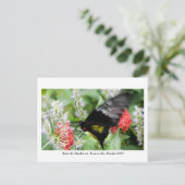 Butterfly Rainforest - Gainesville, FL 006 Postkarte (Stehend Vorderseite)