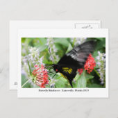 Butterfly Rainforest - Gainesville, FL 006 Postkarte (Vorne/Hinten)